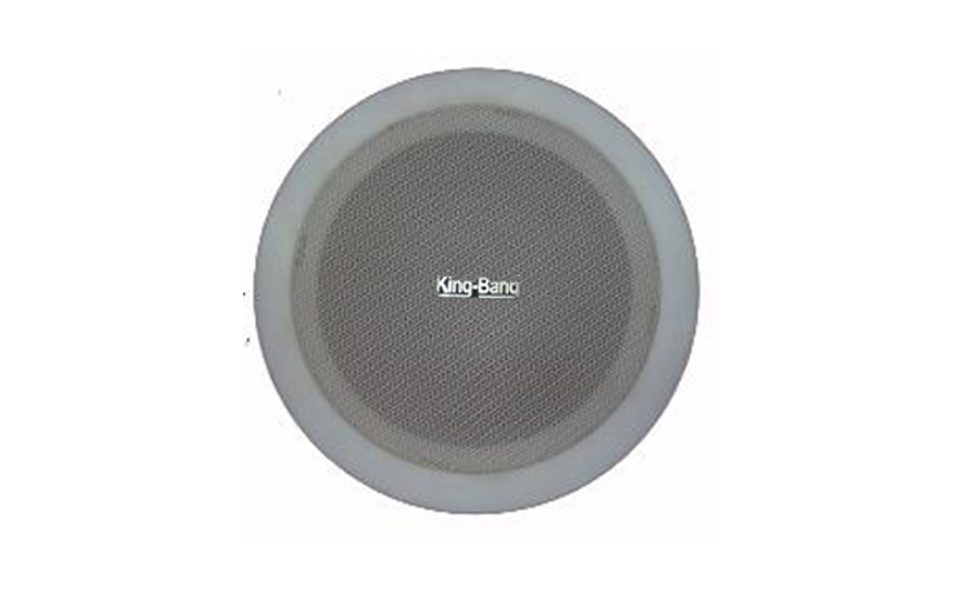 天花揚(yáng)聲器S-116