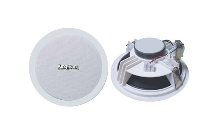 天花揚(yáng)聲器S-166